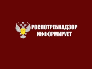 Роспотребнадзор запускает «горячую линию» по вопросам качества и безопасности детских товаров и выбору новогодних подарков