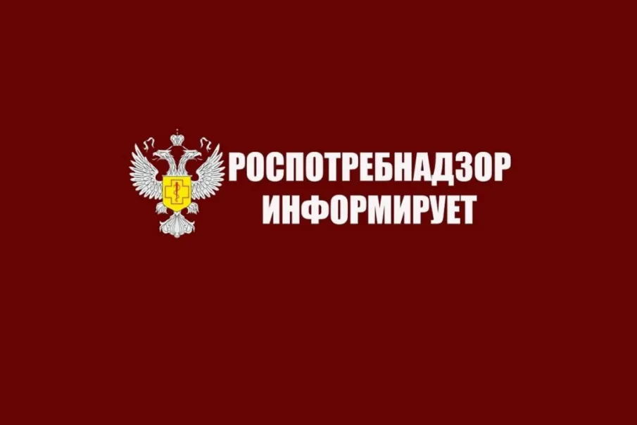 Роспотребнадзор запускает «горячую линию» по вопросам качества и безопасности детских товаров и выбору новогодних подарков