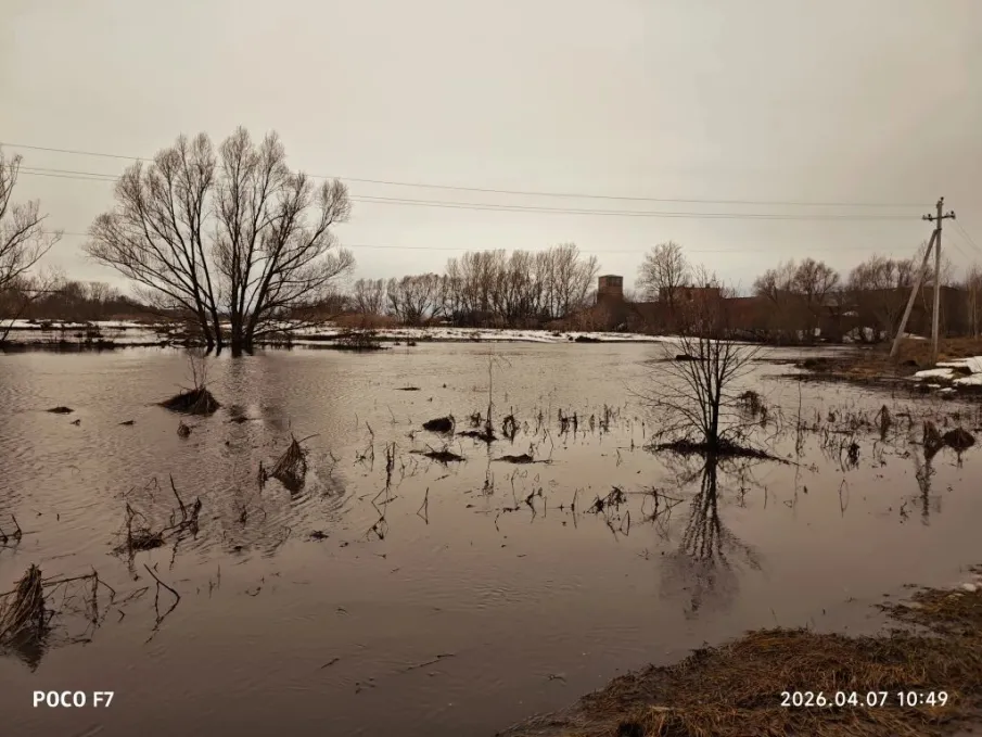 Паводковая ситуация а Спасском муниципальном округе спокойная