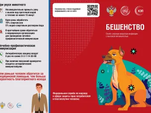 Профилактика бешенства