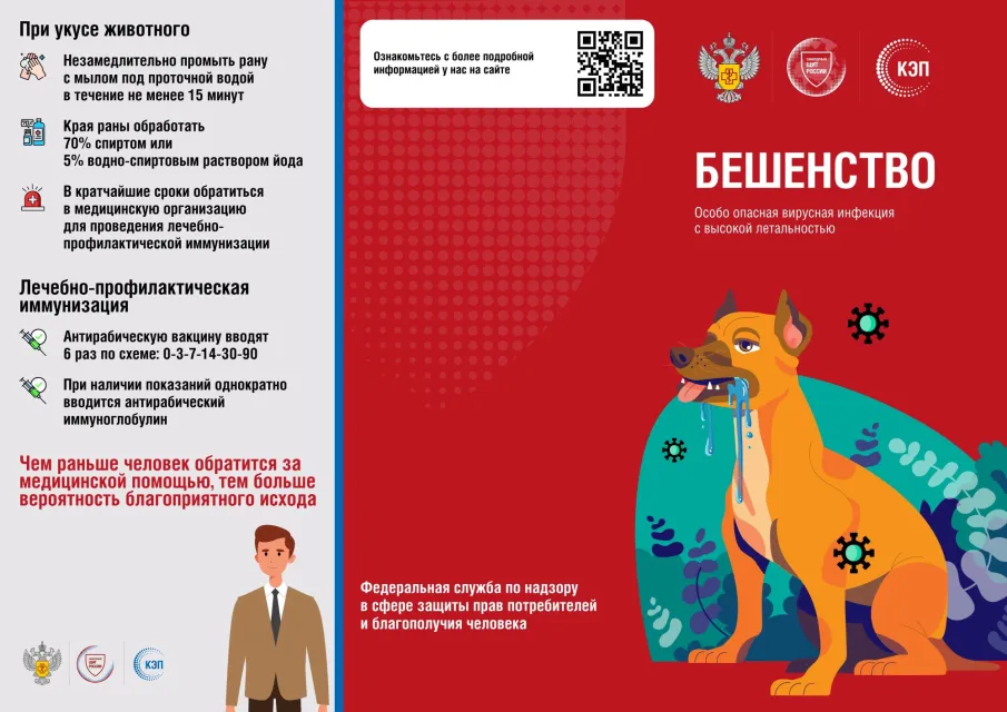 Профилактика бешенства