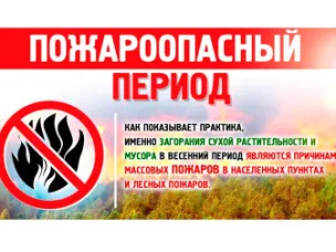 Информация о неблагополучной обстановке, сложившейся на территории Нижегородской области с природными пожарами на период 6 мая 2025 г.