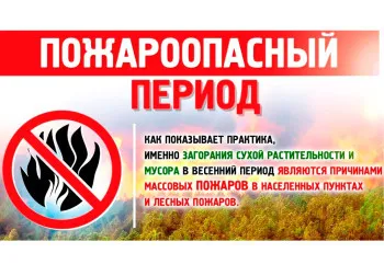 Информация о неблагополучной обстановке, сложившейся на территории Нижегородской области с природными пожарами на период 6 мая 2025 г.