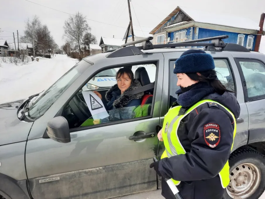 Информационно- профилактическое мероприятие "Ремень безопасности"