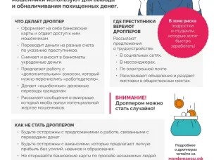 Кто такие дропперы???