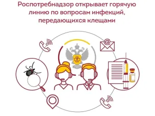 Роспотребнадзор проведет Всероссийскую горячую линию по вопросам профилактики клещевого вирусного энцефалита (КВЭ)