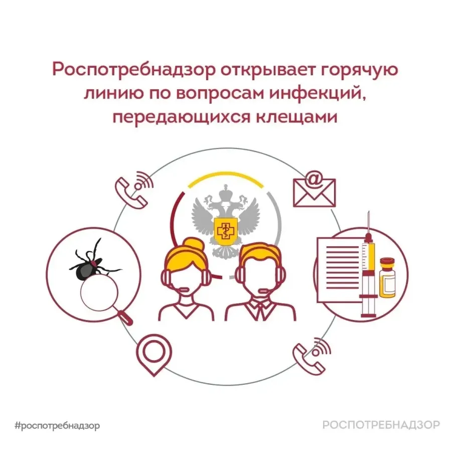Роспотребнадзор проведет Всероссийскую горячую линию по вопросам профилактики клещевого вирусного энцефалита (КВЭ)