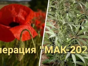 Стартовал второй этап оперативно-профилактической операции «Мак – 2023»