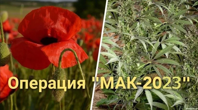 Стартовал второй этап оперативно-профилактической операции «Мак – 2023»