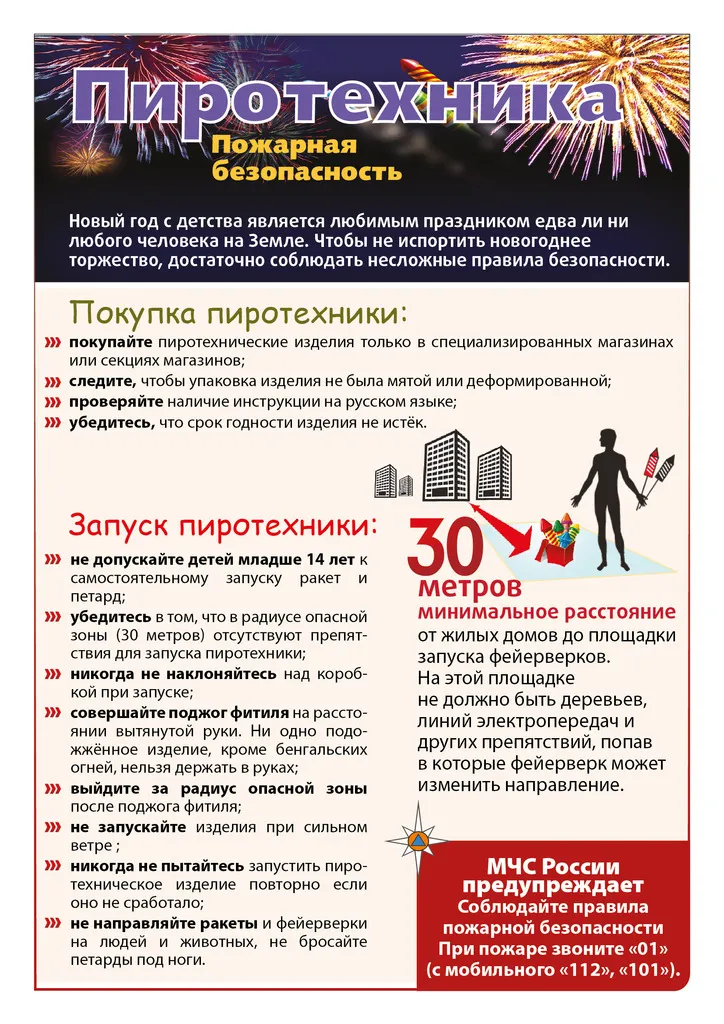 Приказ  «Об установлении мест для размещения площадок по применению пиротехнических изделий на территории Спасского территориального отдела администрации Спасского муниципального округа в период проведения Новогодних и рождественских праздников»