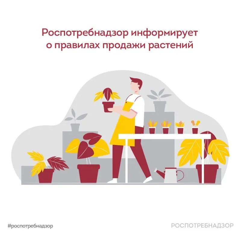 Роспотребнадзор информирует о правилах продажи растений в дачный период
