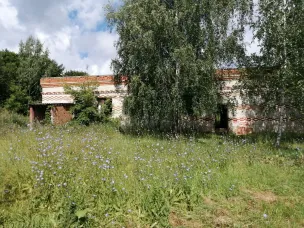 Продажа объектов муниципального имущества на аукционе в электронной форме (нежилое здание, кадастровый номер 52:29:0050021:394, общей площадью 281,1 кв.м и земельный участок с кадастровым номером 52:29:0050021:17, площадью 440 кв.м.)'