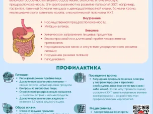 Позаботьтесь о своем желудке