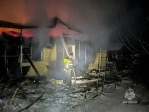 В Кургане пожарный извещатель спас многодетную семью