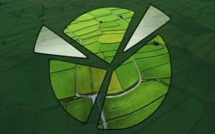 О продаже долей