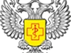 Яйца: польза и правила обработки